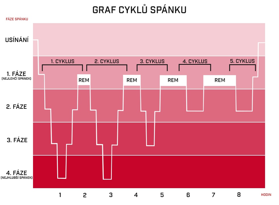 Graf cyklů spánku - 1. - 4. fáze a REM fáze