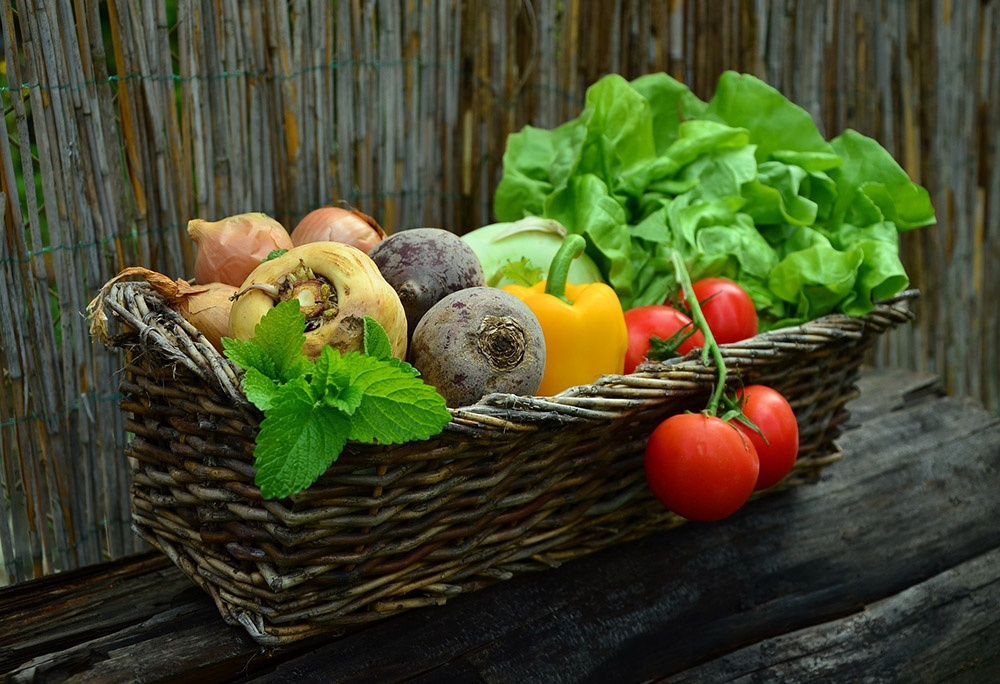 Zelenina podporuje imunitní systém